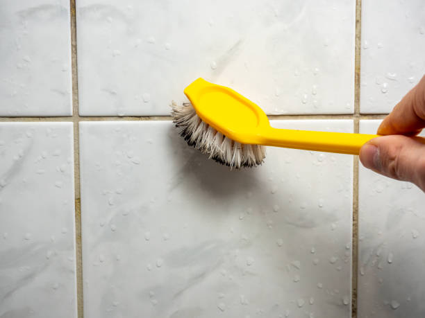 Best Commercial Mold Removal  in New Hampton, IA