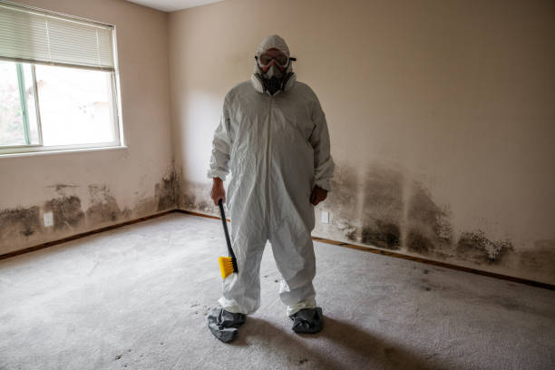 Mold Testing and Removal in New Hampton, IA